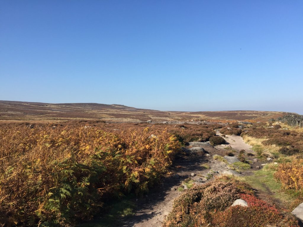 Transpennine